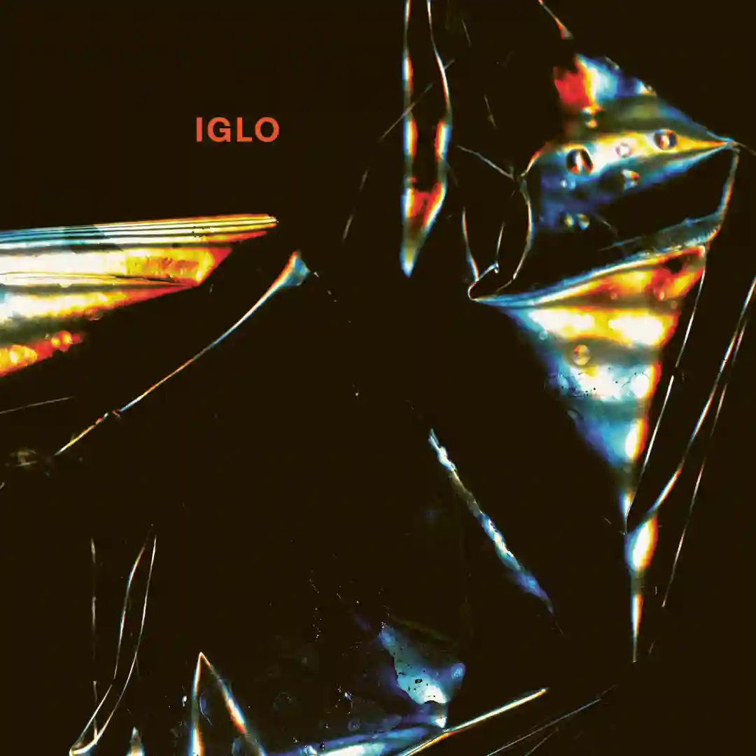 Introspection (Original Mix) cover