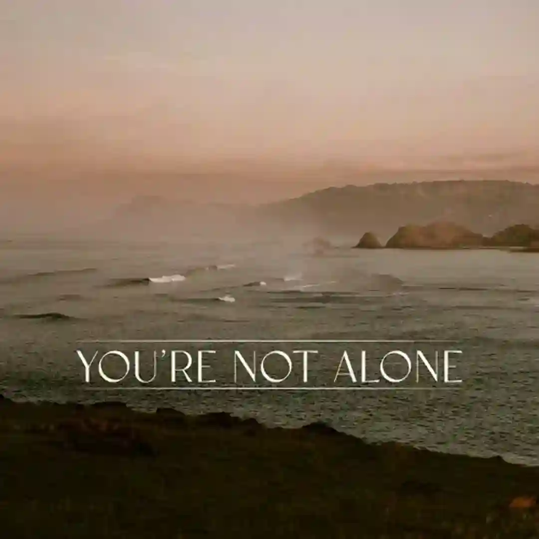You're Not Alone (&friends Remix) cover