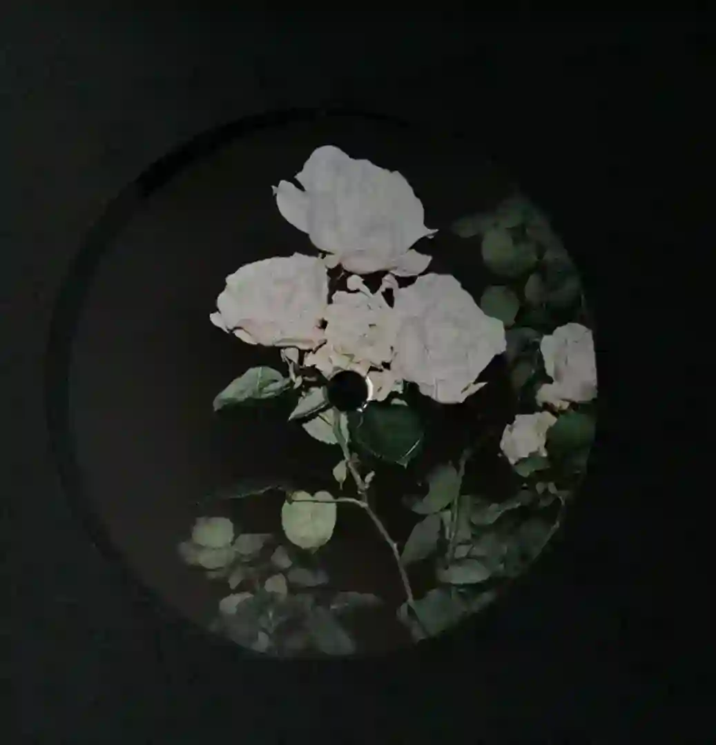 Nor Gri cover