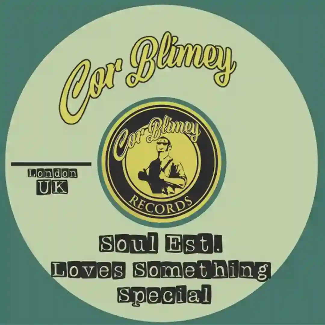 Loves Something Special cover