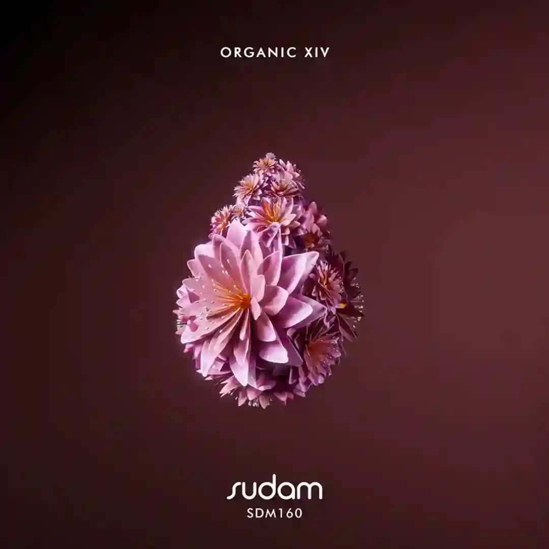 Kumusha (Original Mix) cover