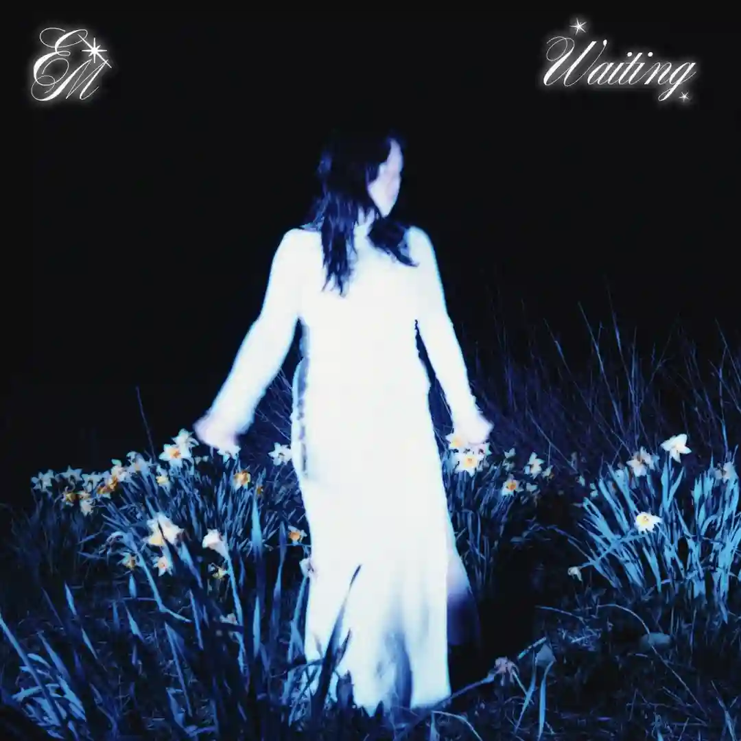Everlasting (Original Mix) cover