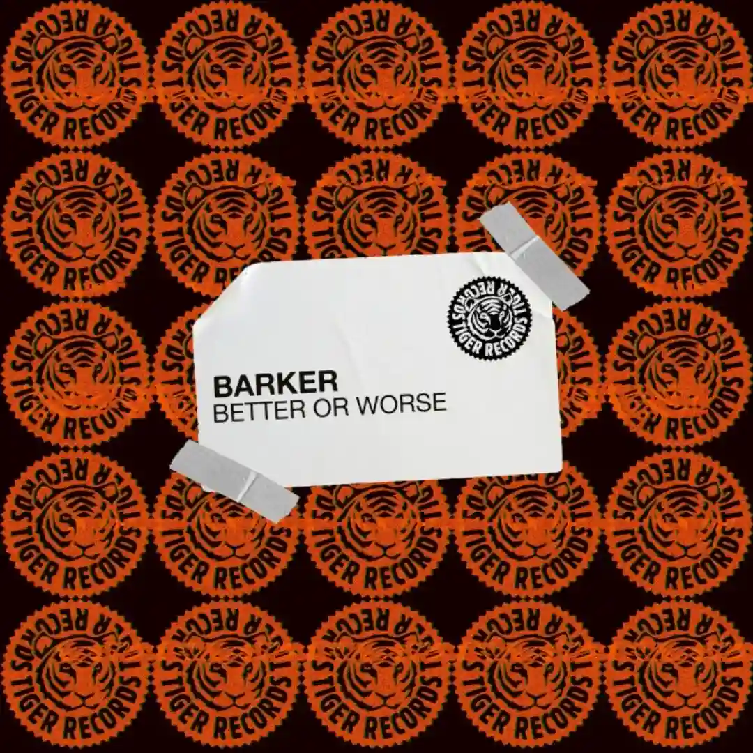 Better Or Worse (Extended Mix) cover