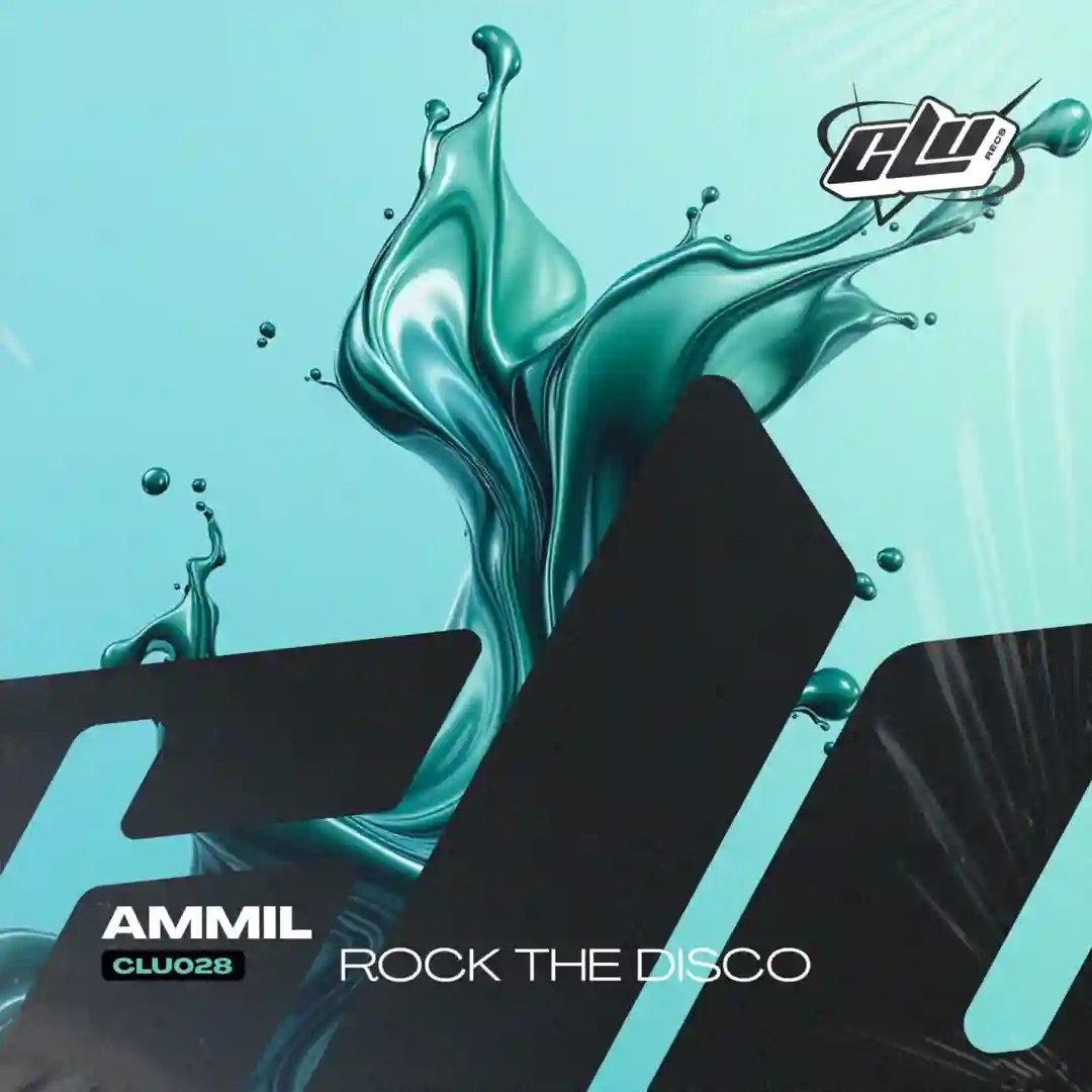Rock The Disco (Original Mix) cover