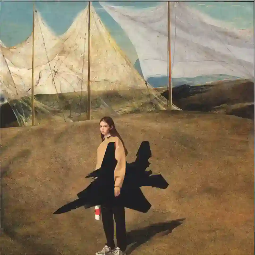 Pigeon cover