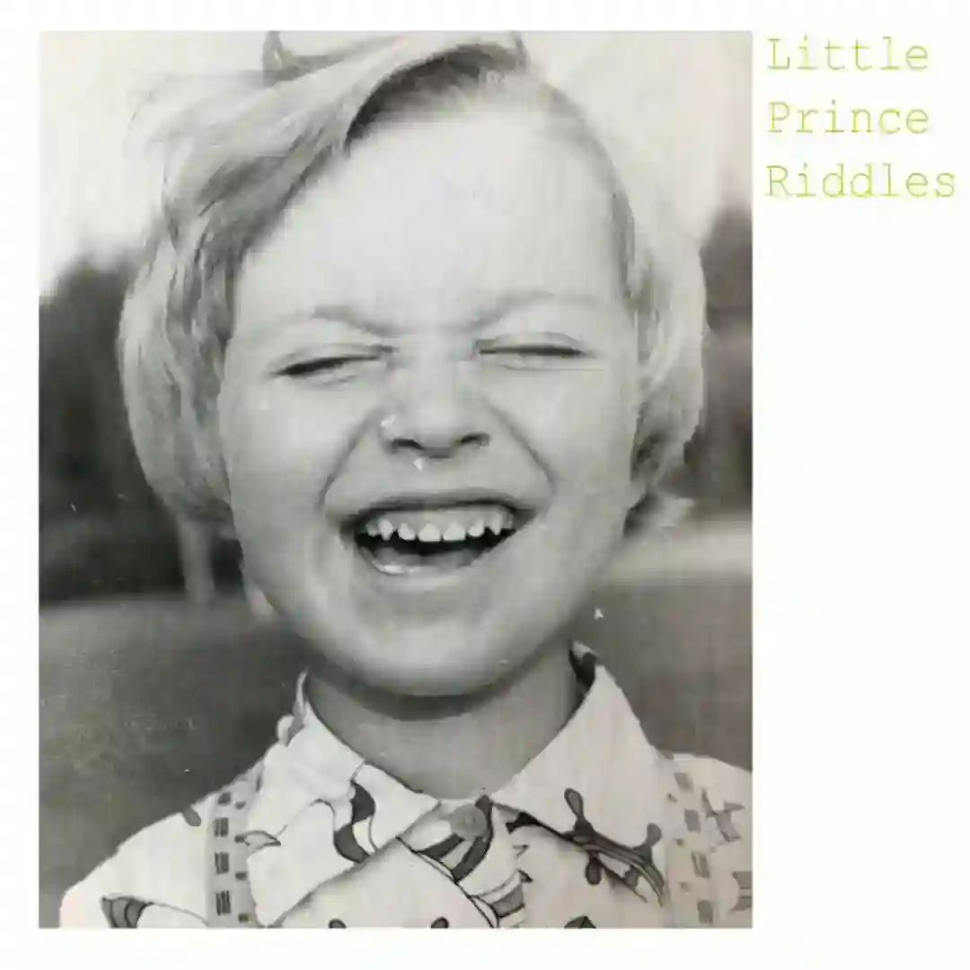 Little Prince Riddles cover