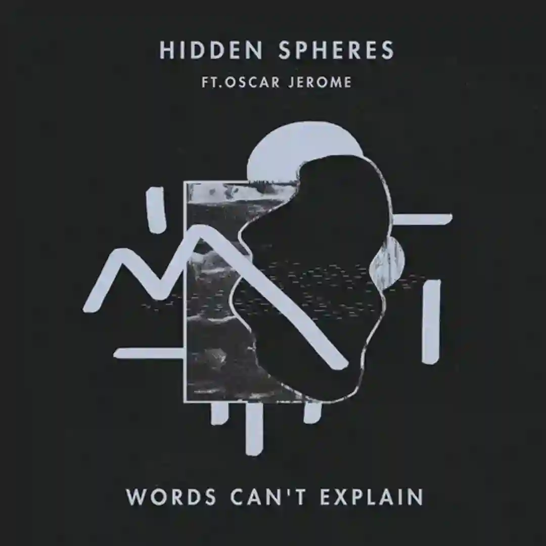 Words Can't Explain (Original Mix) cover
