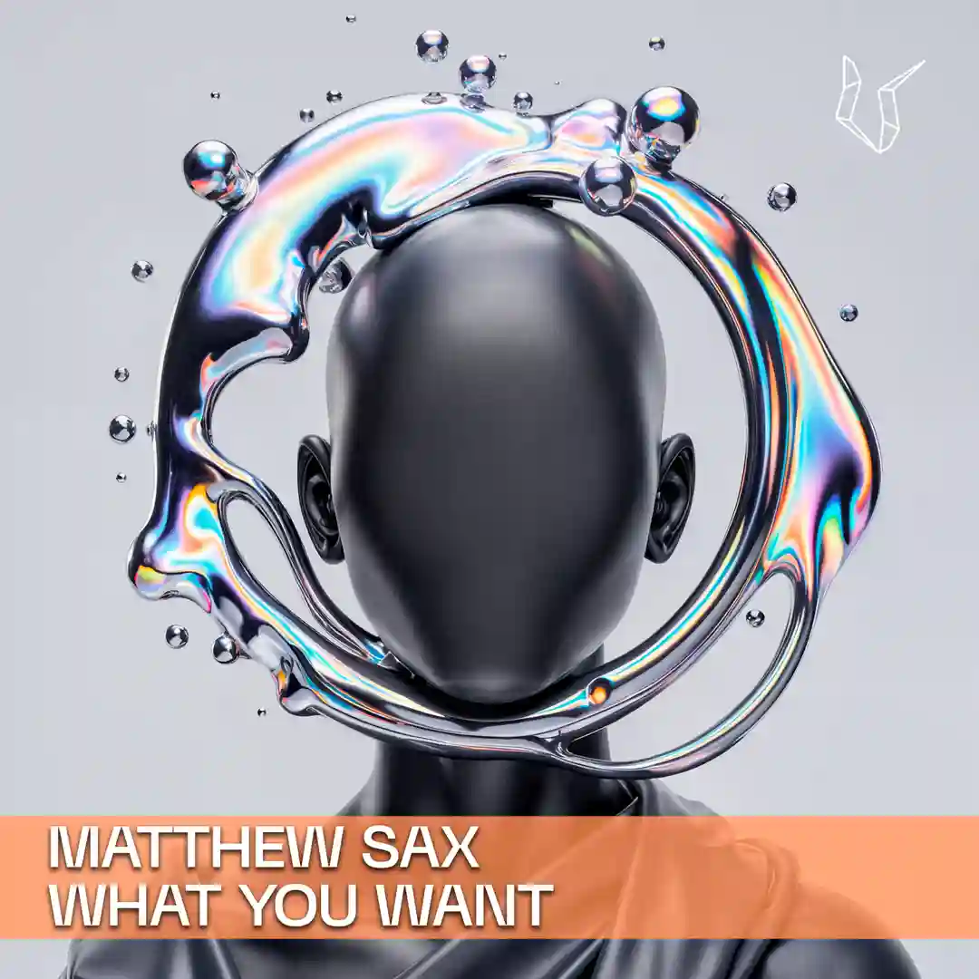 What You Want (Original Mix) cover