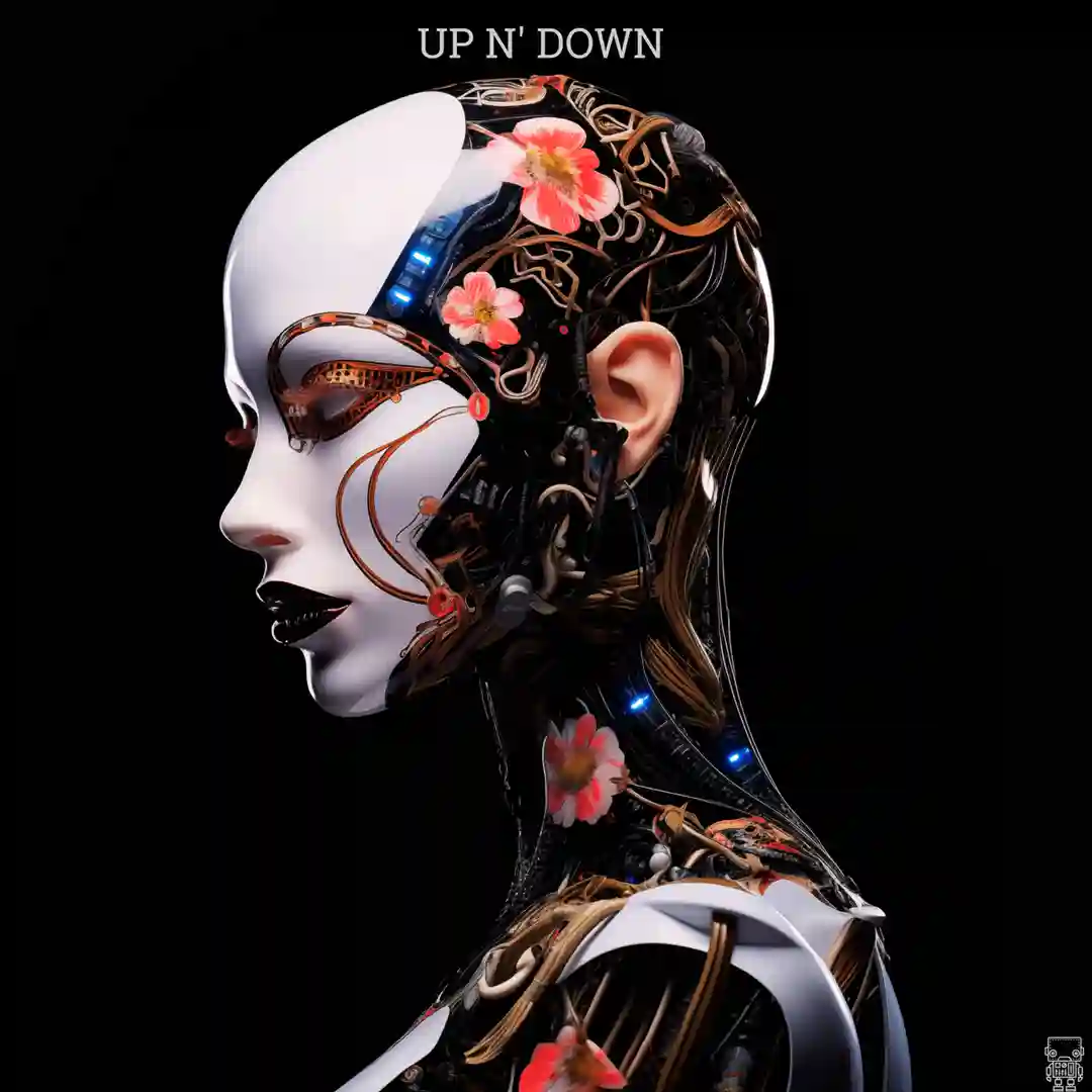 Up N' Down (Original Mix) cover