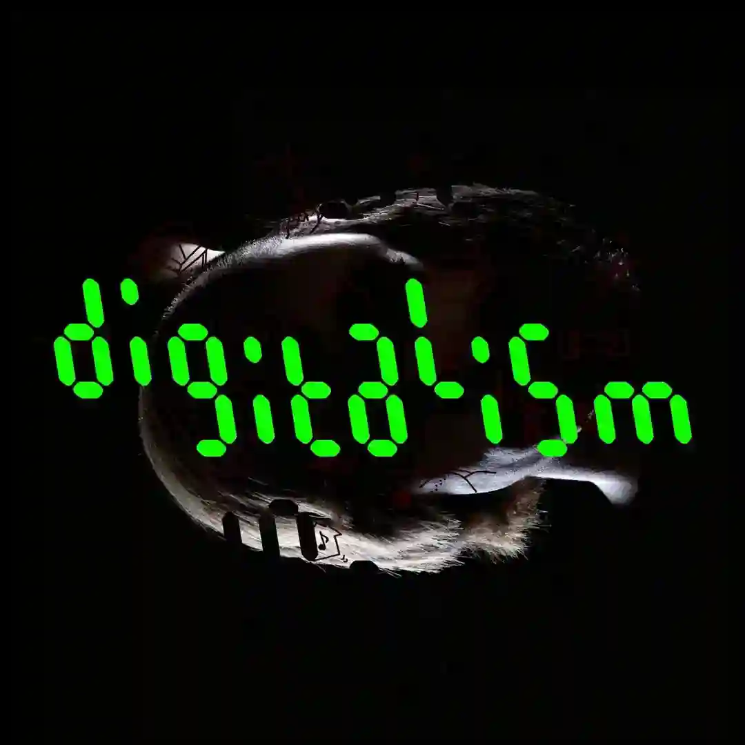 Digitalism in Cairo cover
