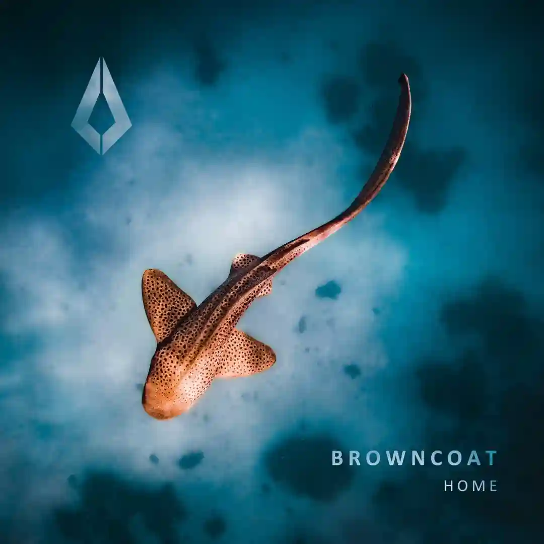Home (Extended Mix) cover