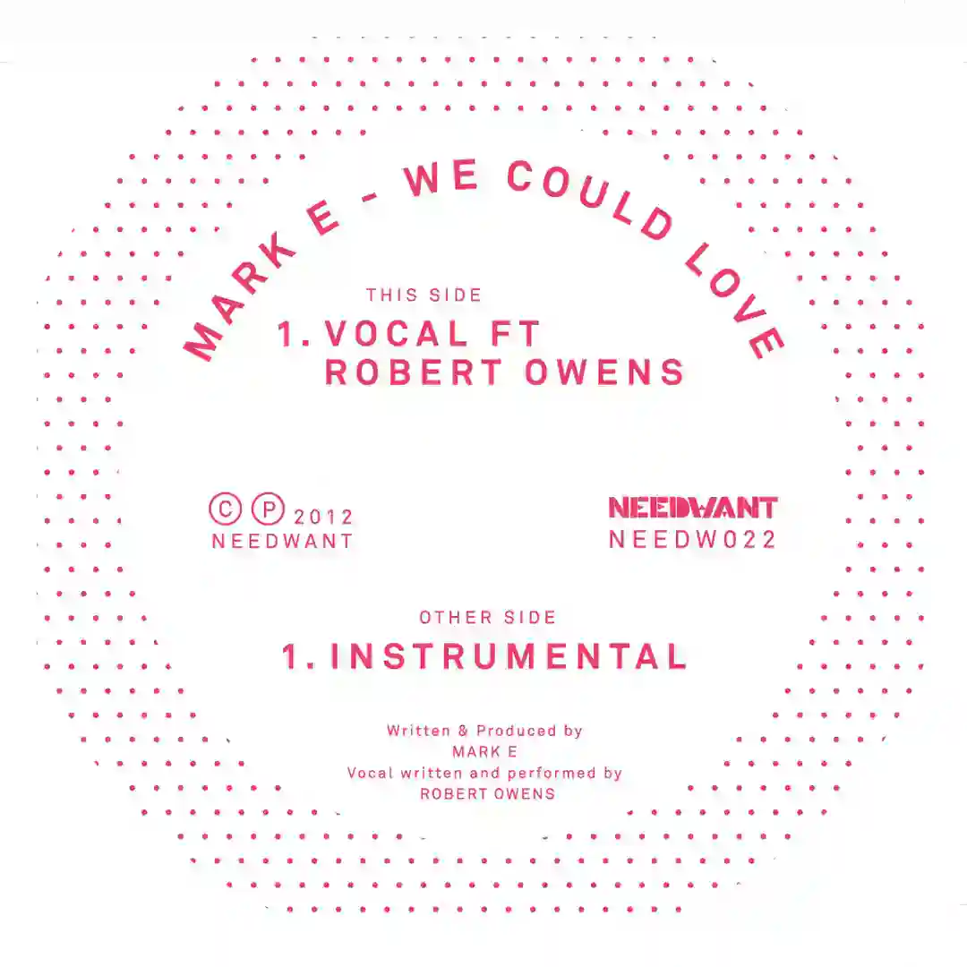We Could Love ft. Robert Owens cover