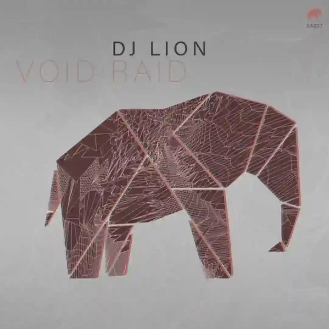 Void Raid cover