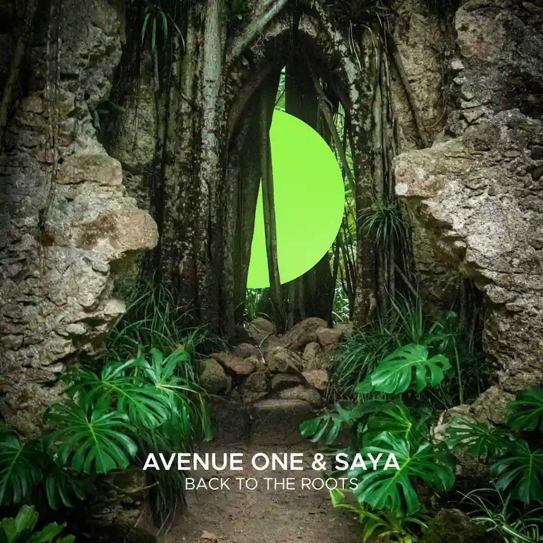 Back To The Roots cover