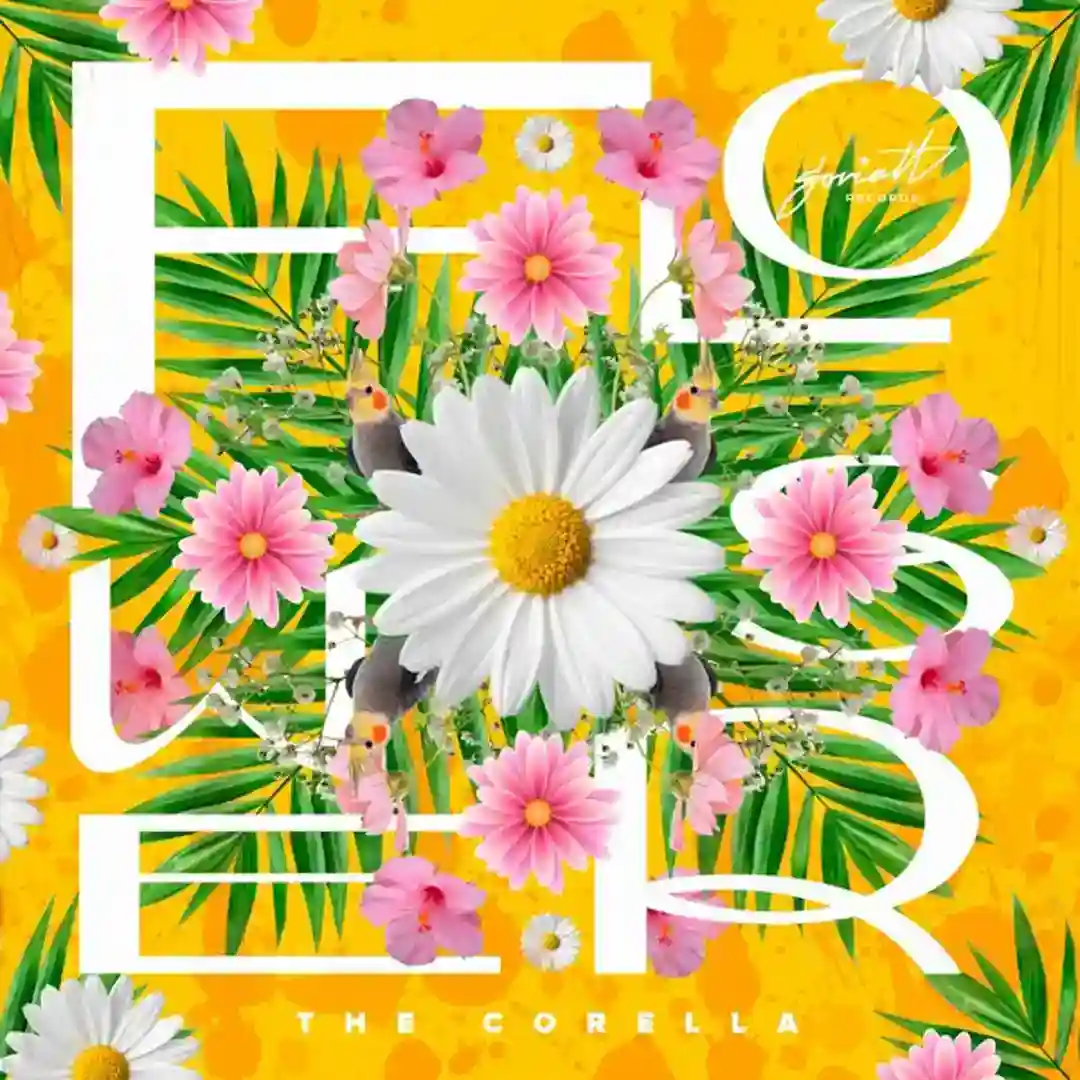 Filter One (Original Mix) cover