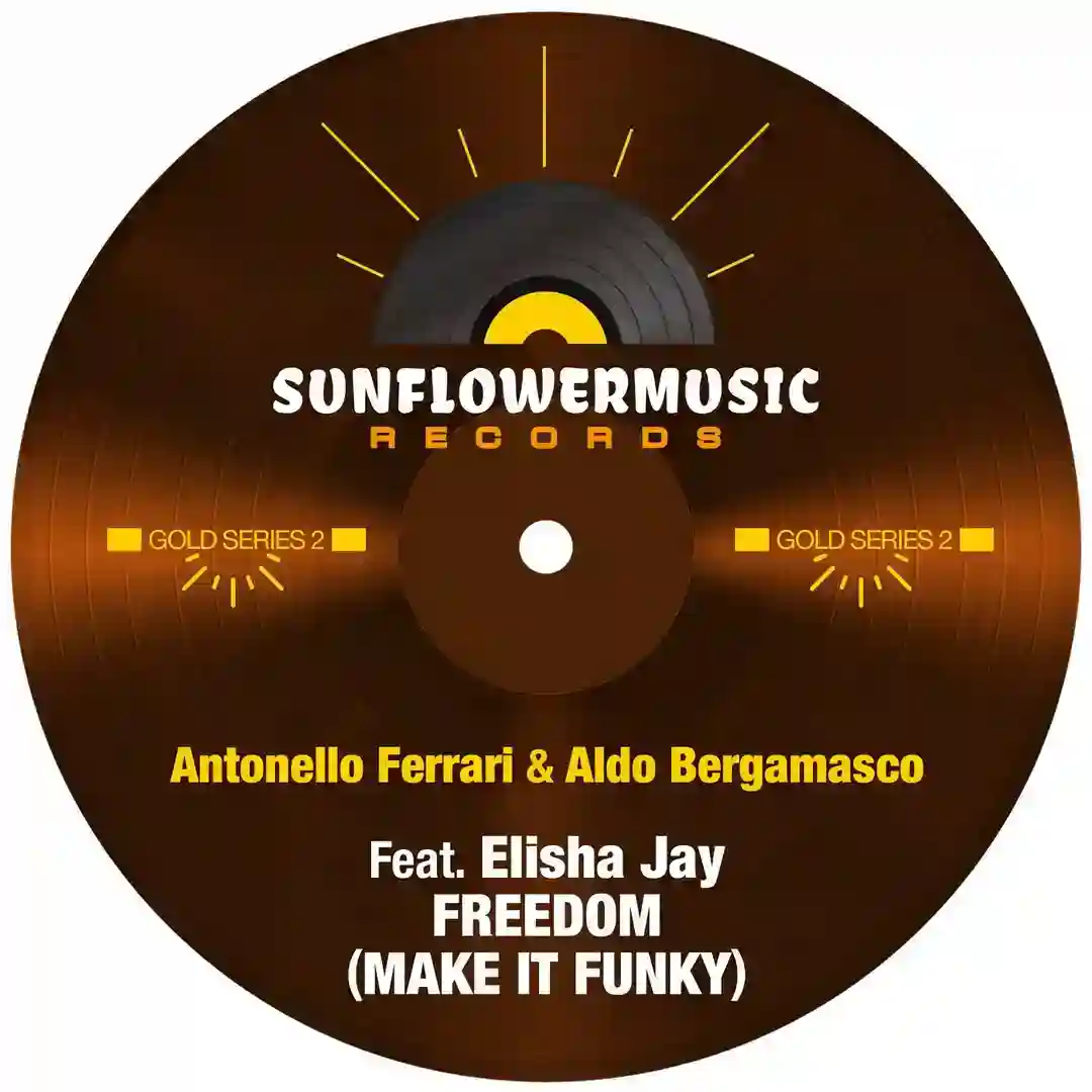 Freedom (Make It Funky) feat. Elisha Jay (Antonello Ferrari & Aldo Bergamasco Club Mix) cover