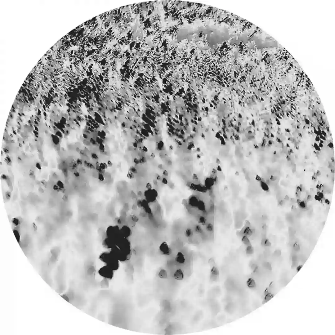 Mammatus cover