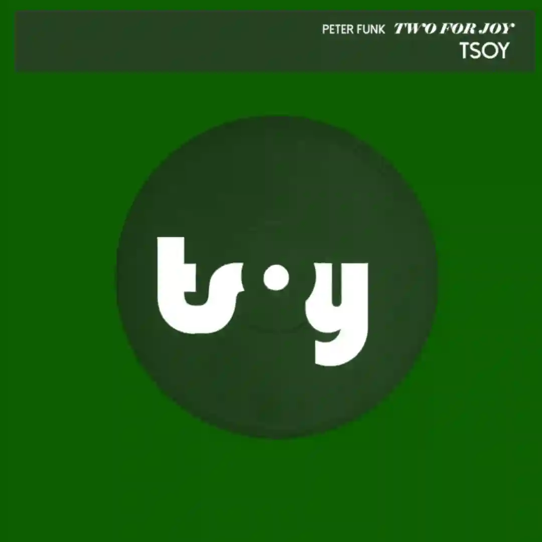 Two For Joy (Unreleased Deep Moving Version) cover