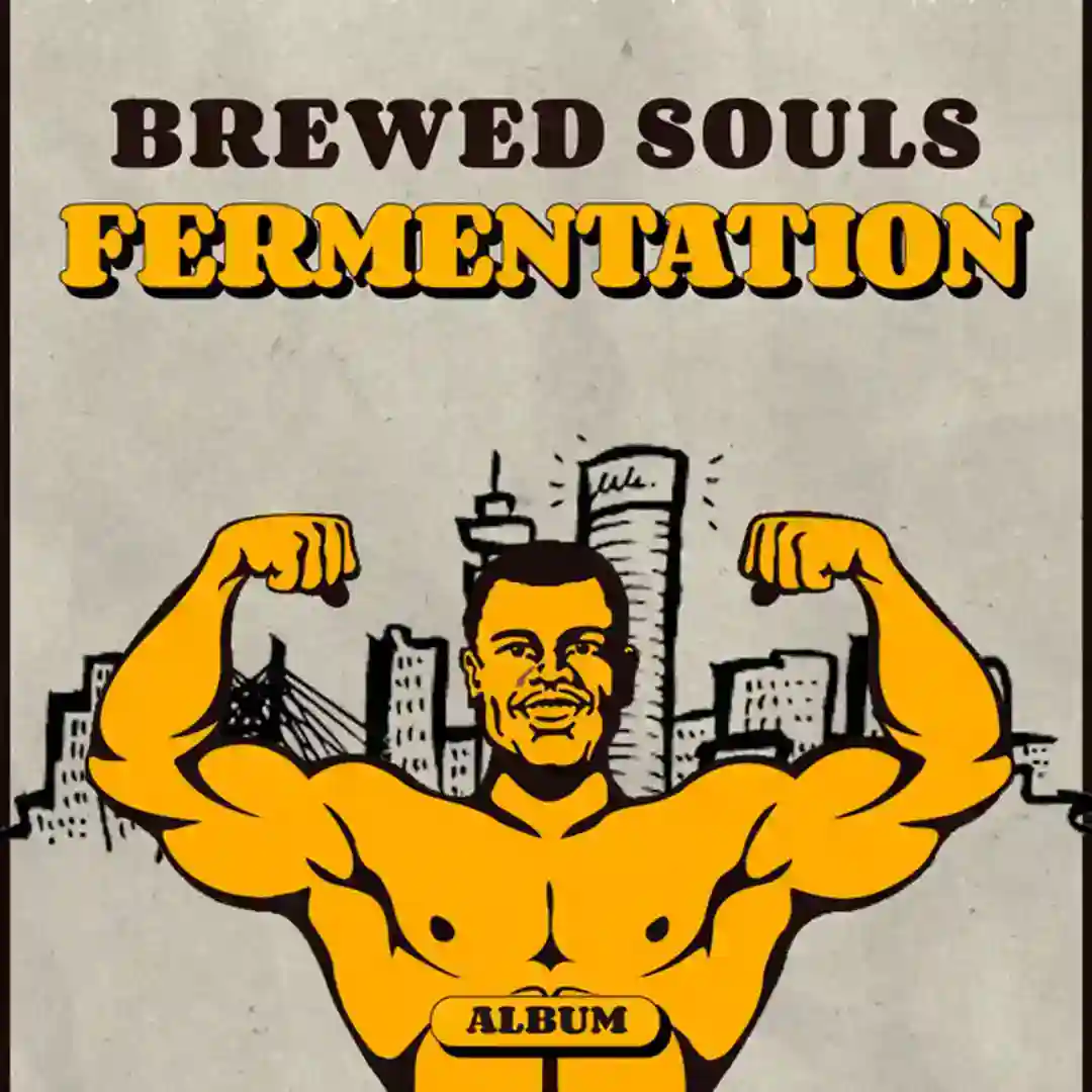Fermentation (Original Mix) cover