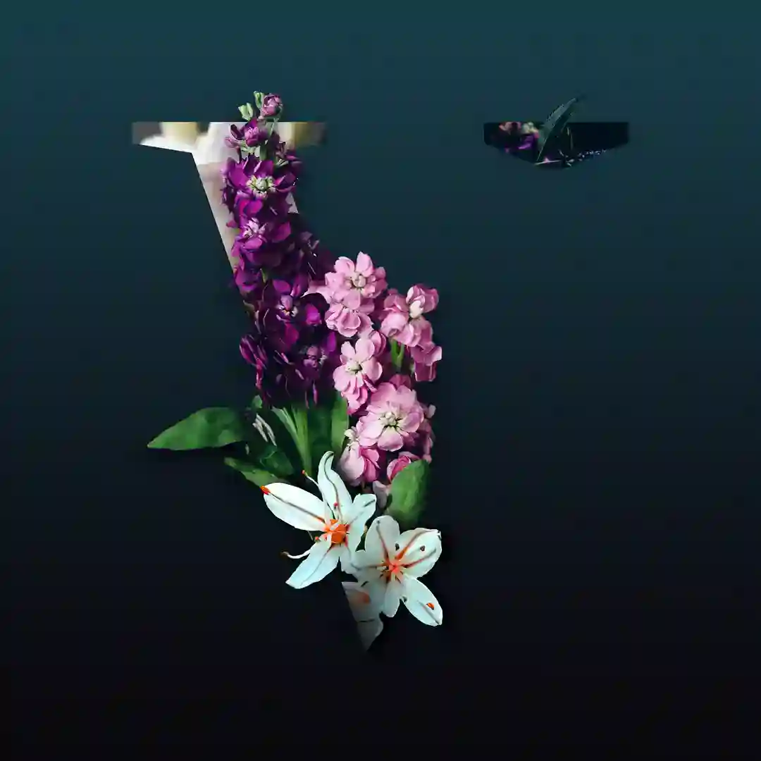 Lake Nivu cover