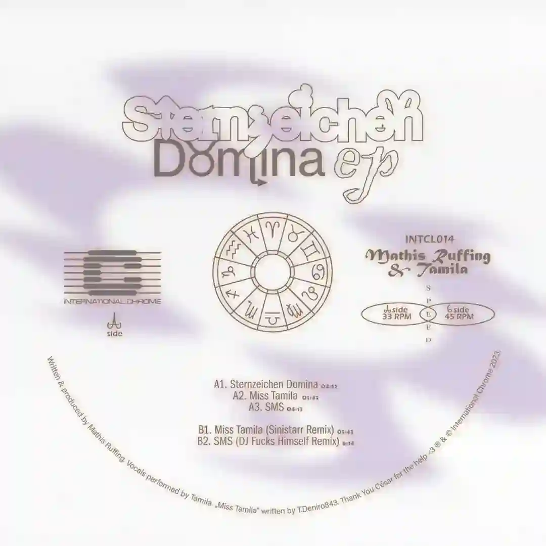 SMS (DJ Fucks Himself remix) cover