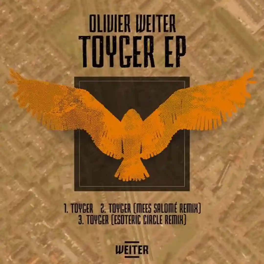 Toyger (Mees Salomé Remix) cover