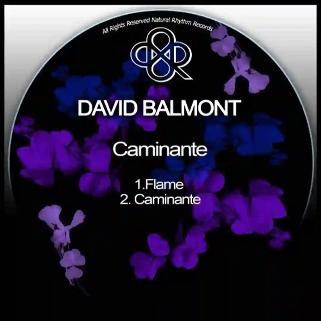 Caminante (Original Mix) cover
