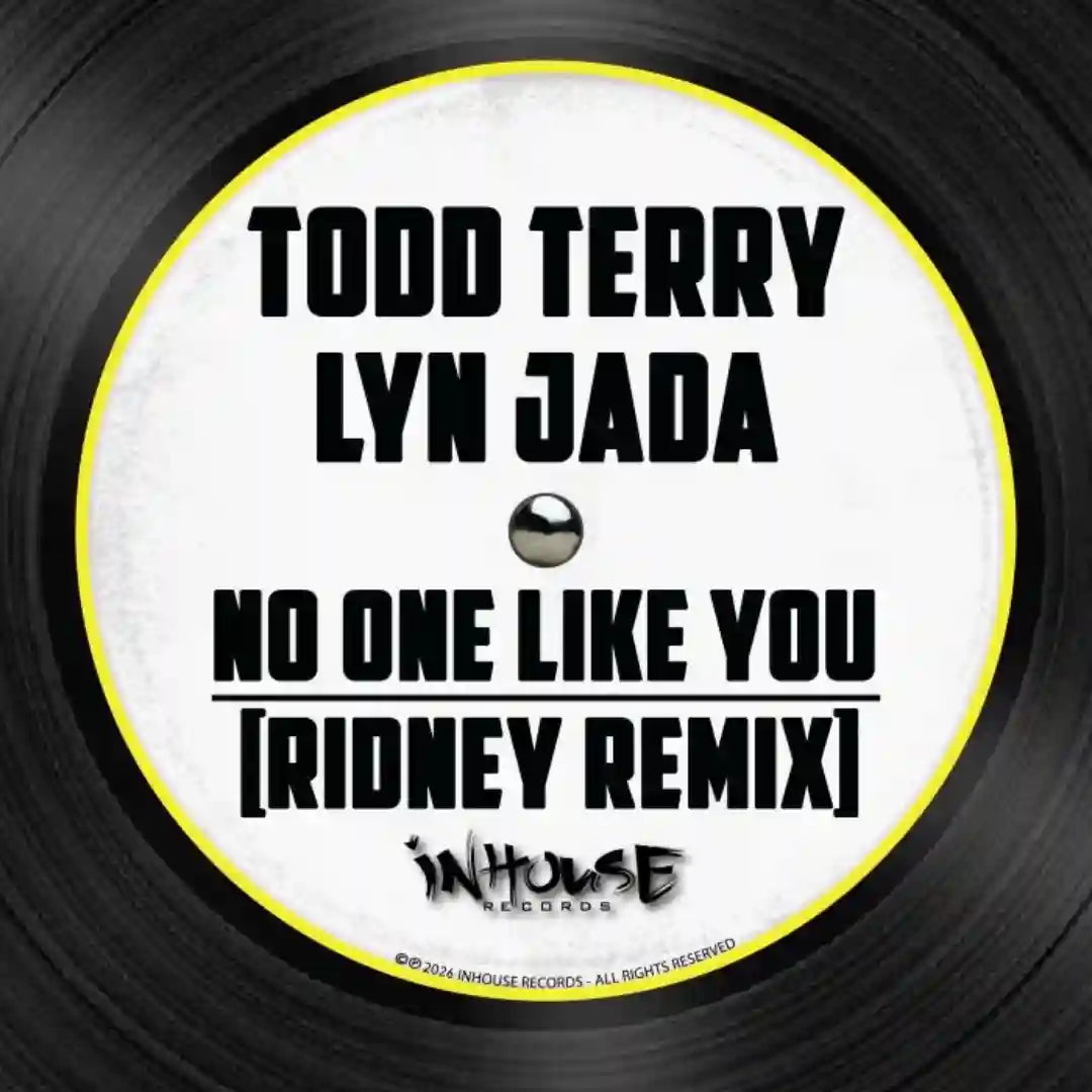 No One Like You (Ridney Remix) cover