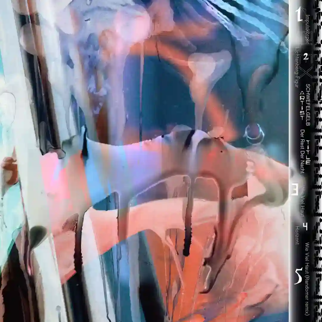 Wie Viel Haut (Randomer Remix) cover