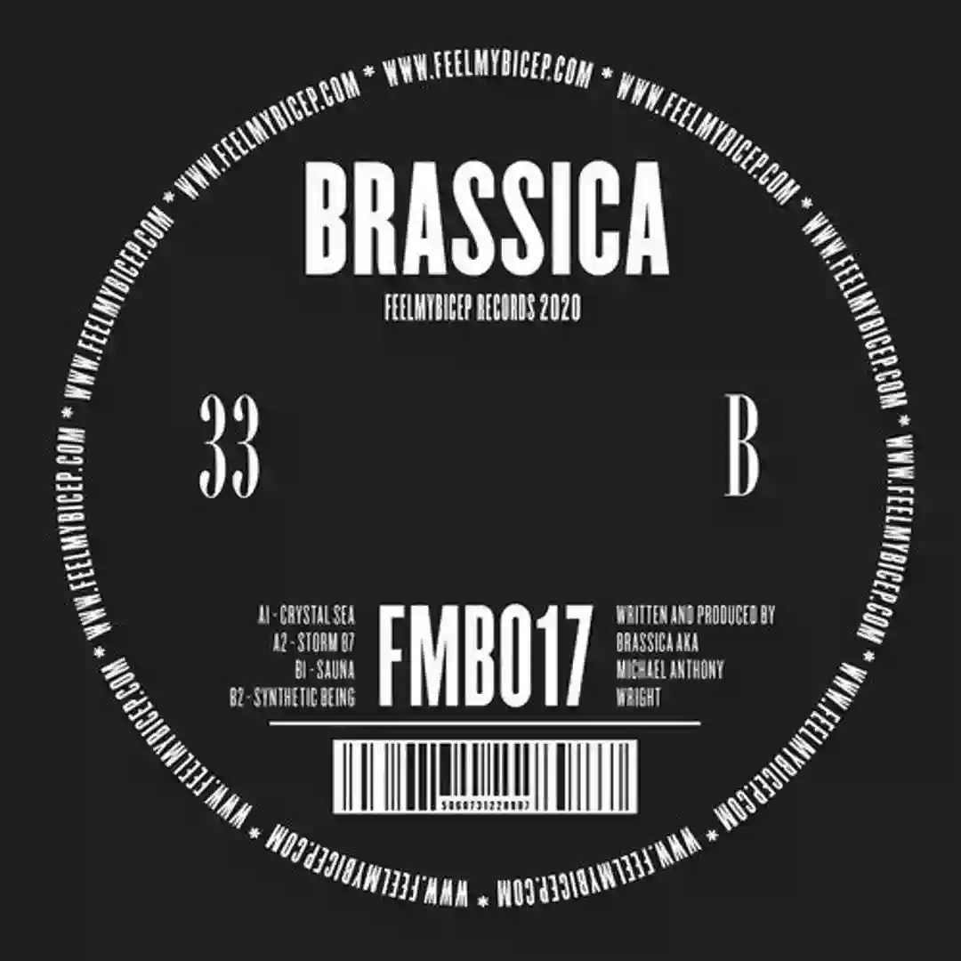 Storm 87 (Original Mix) cover