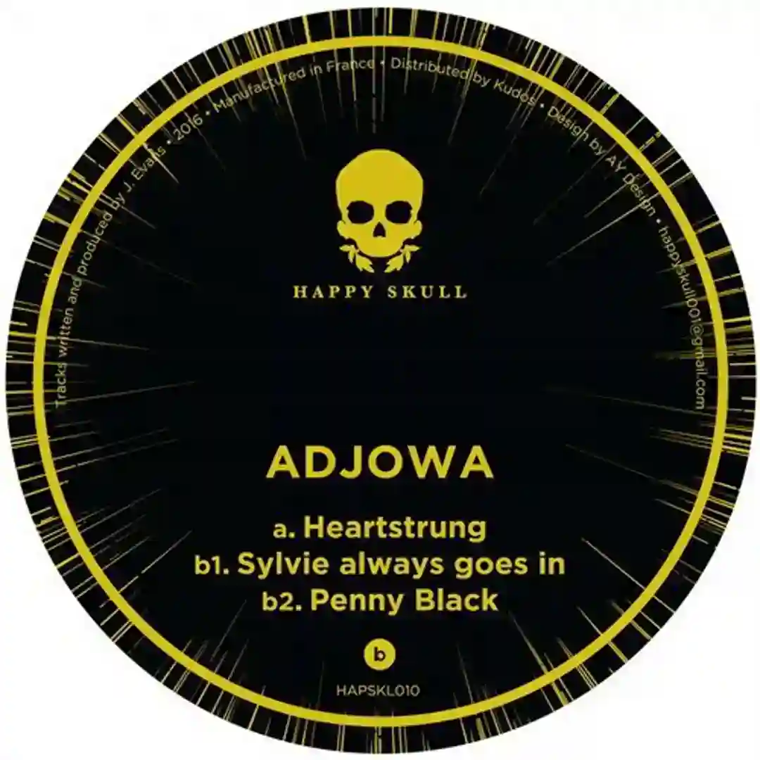 Sylvie Always Goes In (Original Mix) cover