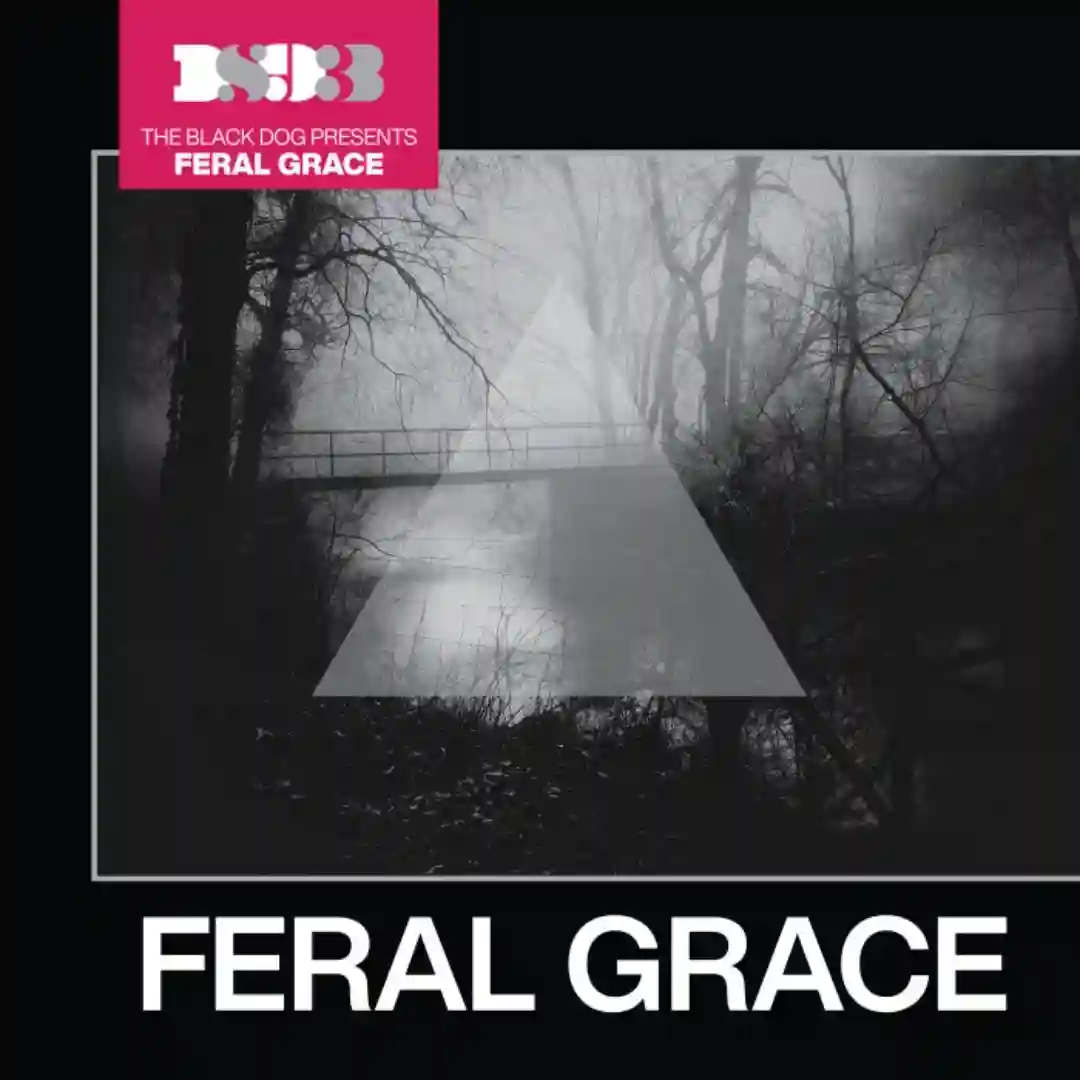 Broken Signal (Original Mix) cover