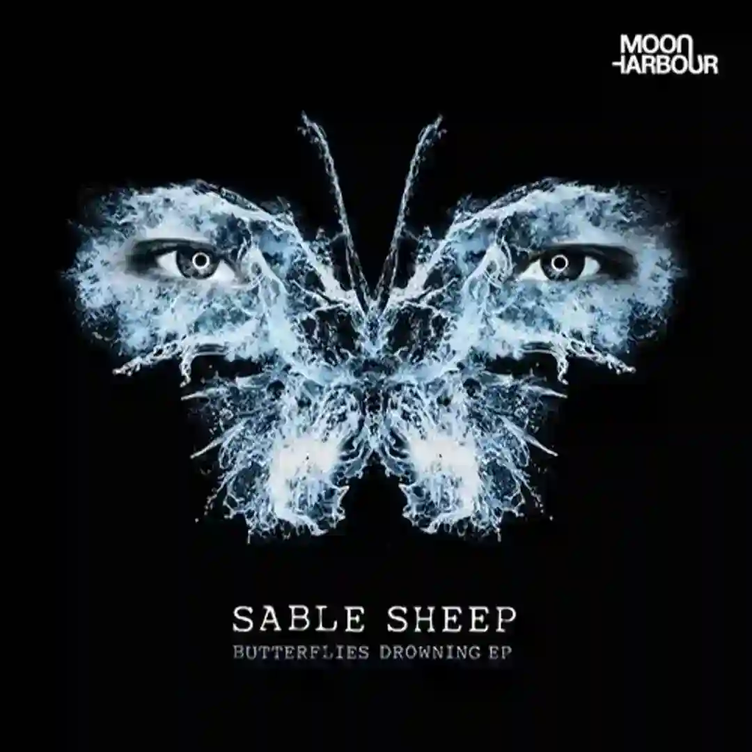 Butterflies Drowning cover