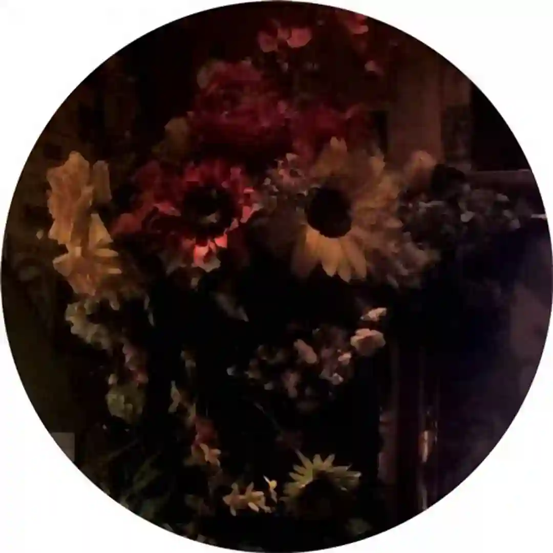 Desire is Mono cover