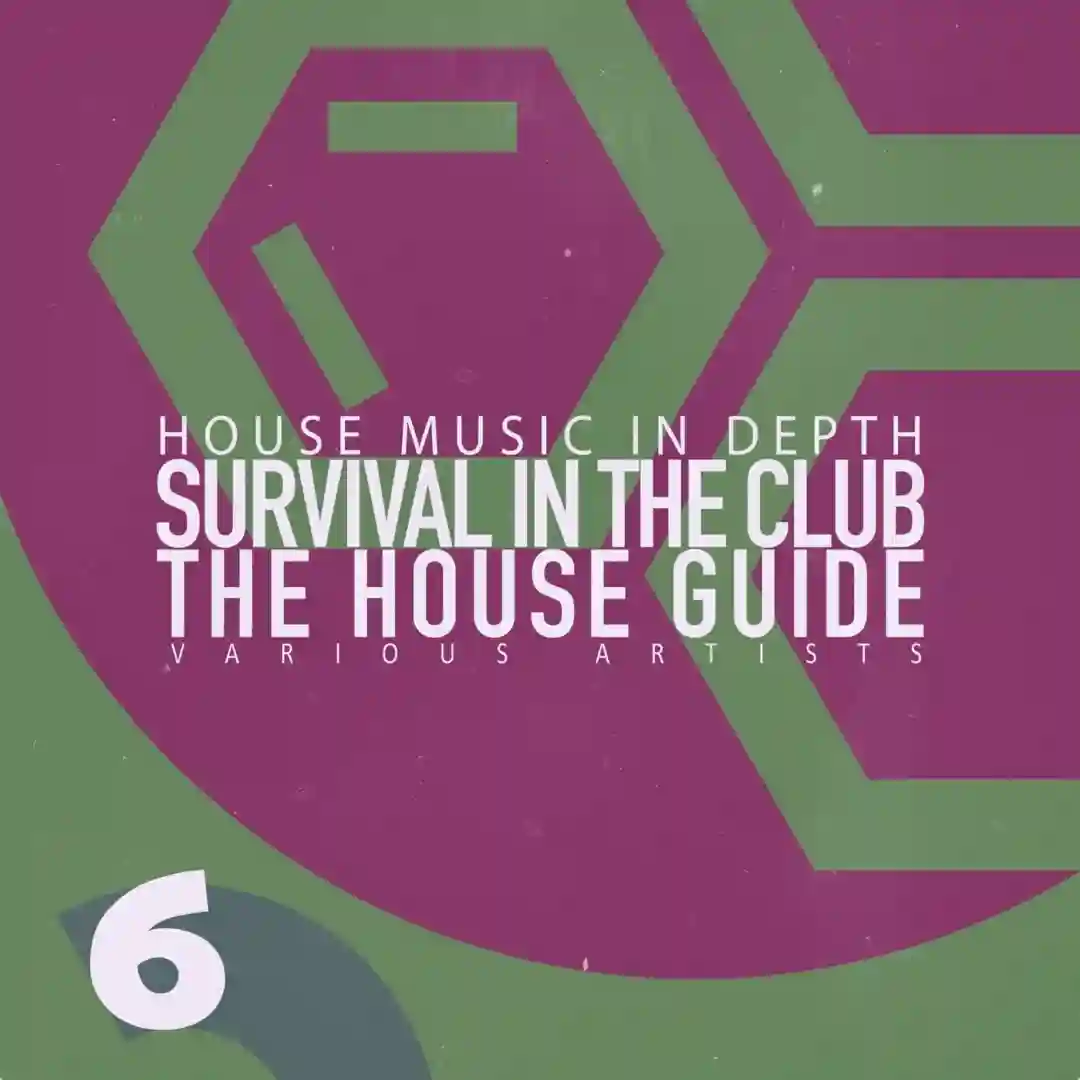 White Night (House Mix) cover