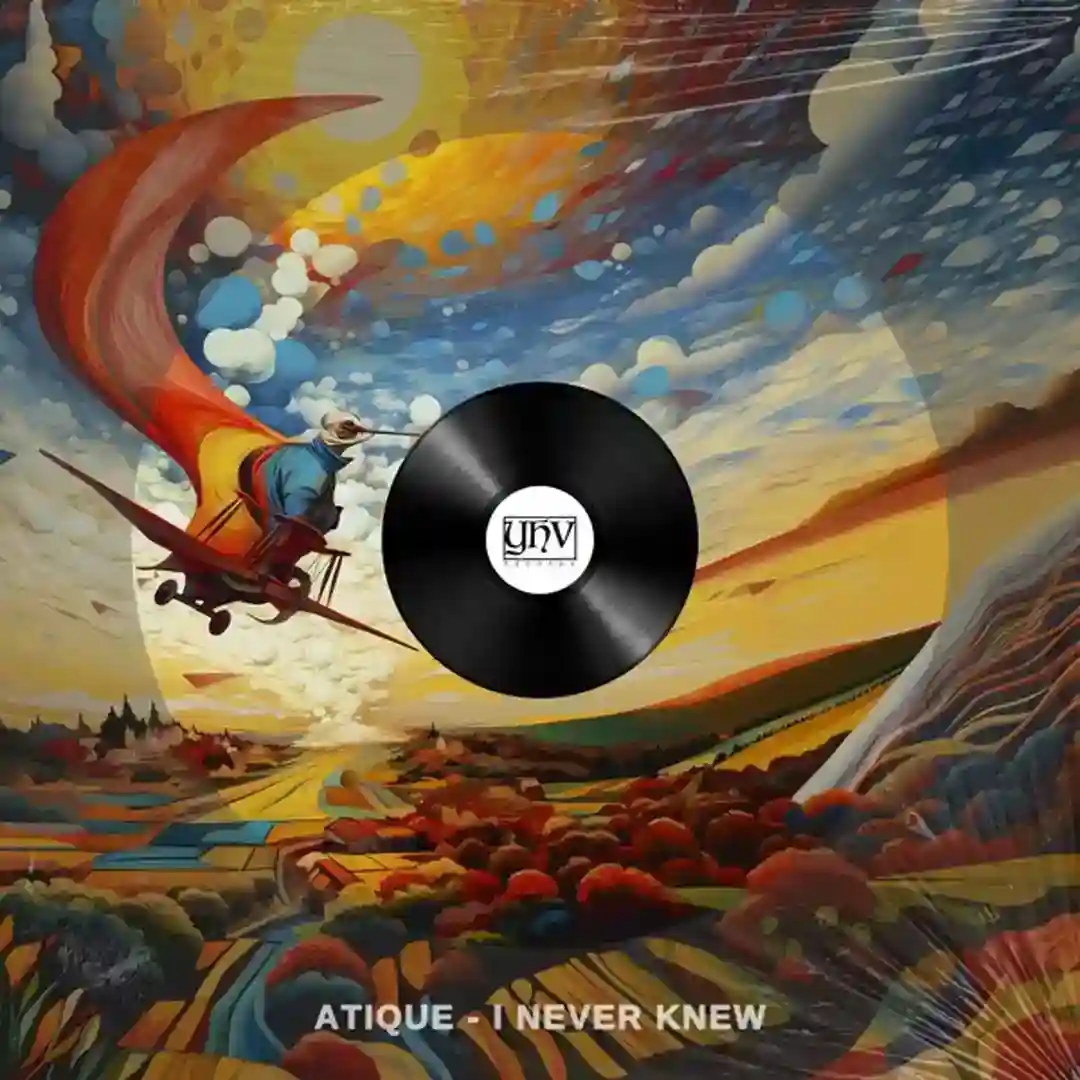 I Never Knew (Original Mix) cover