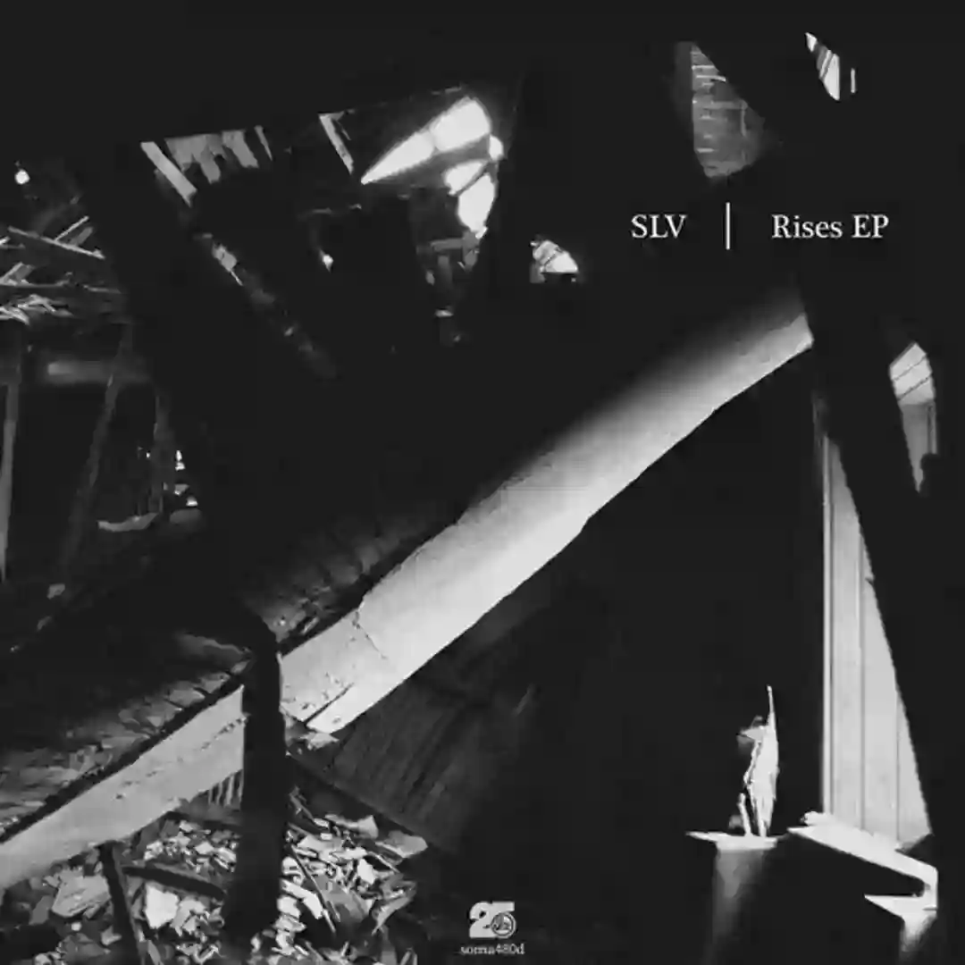 Planetary (Original Mix) cover