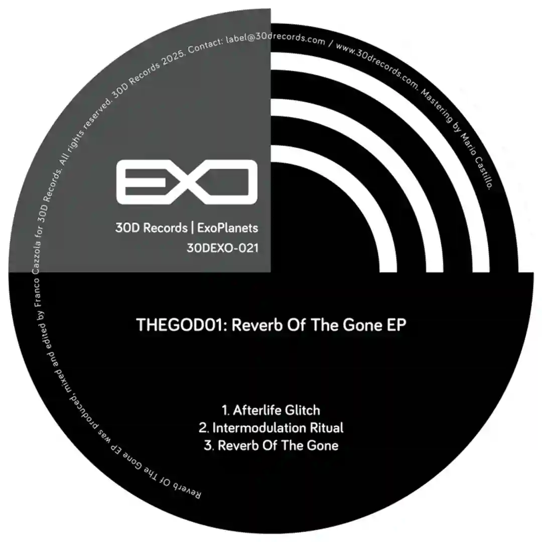 Reverb of The Gone (Original Mix) cover