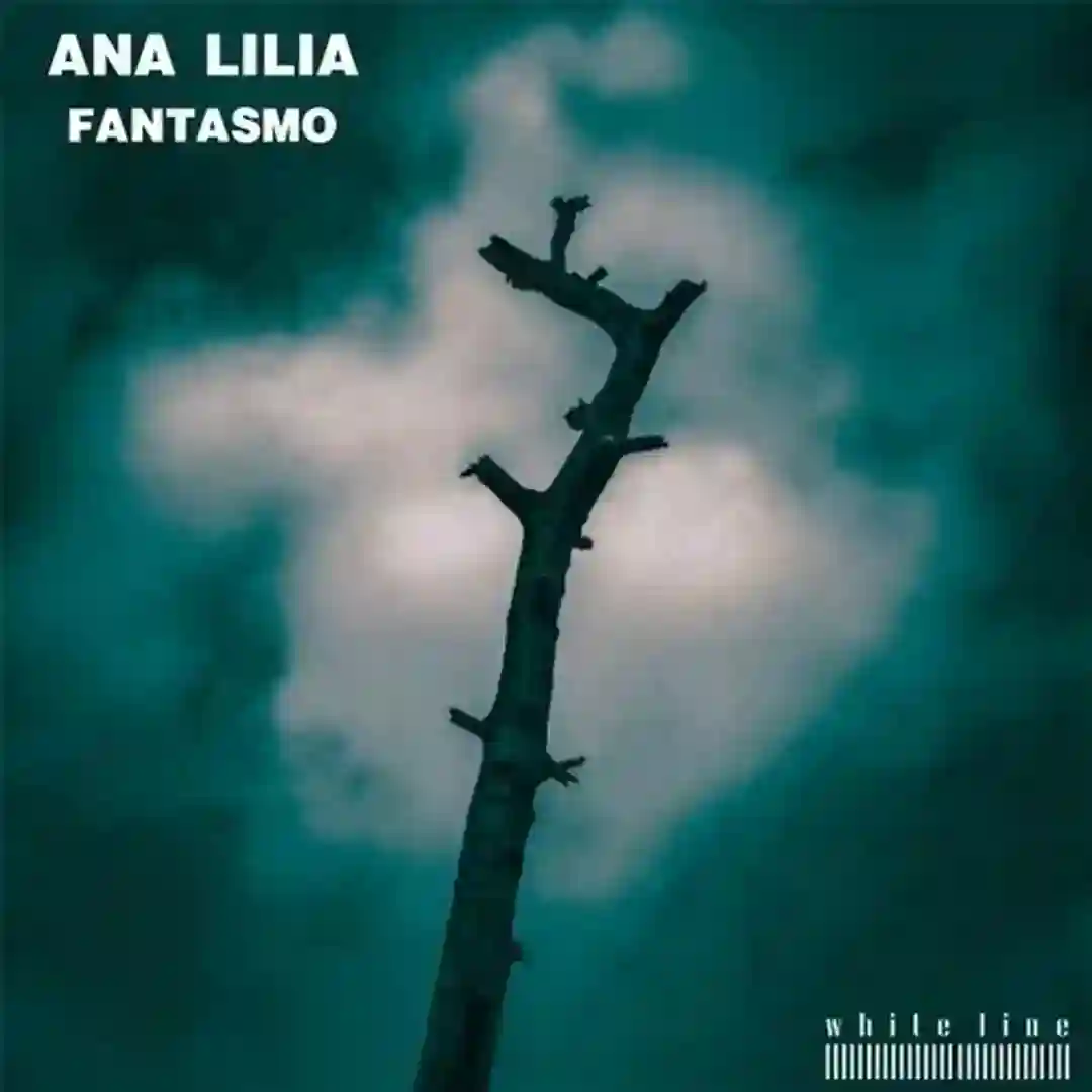 Fantasmo (Rudosa Remix) cover