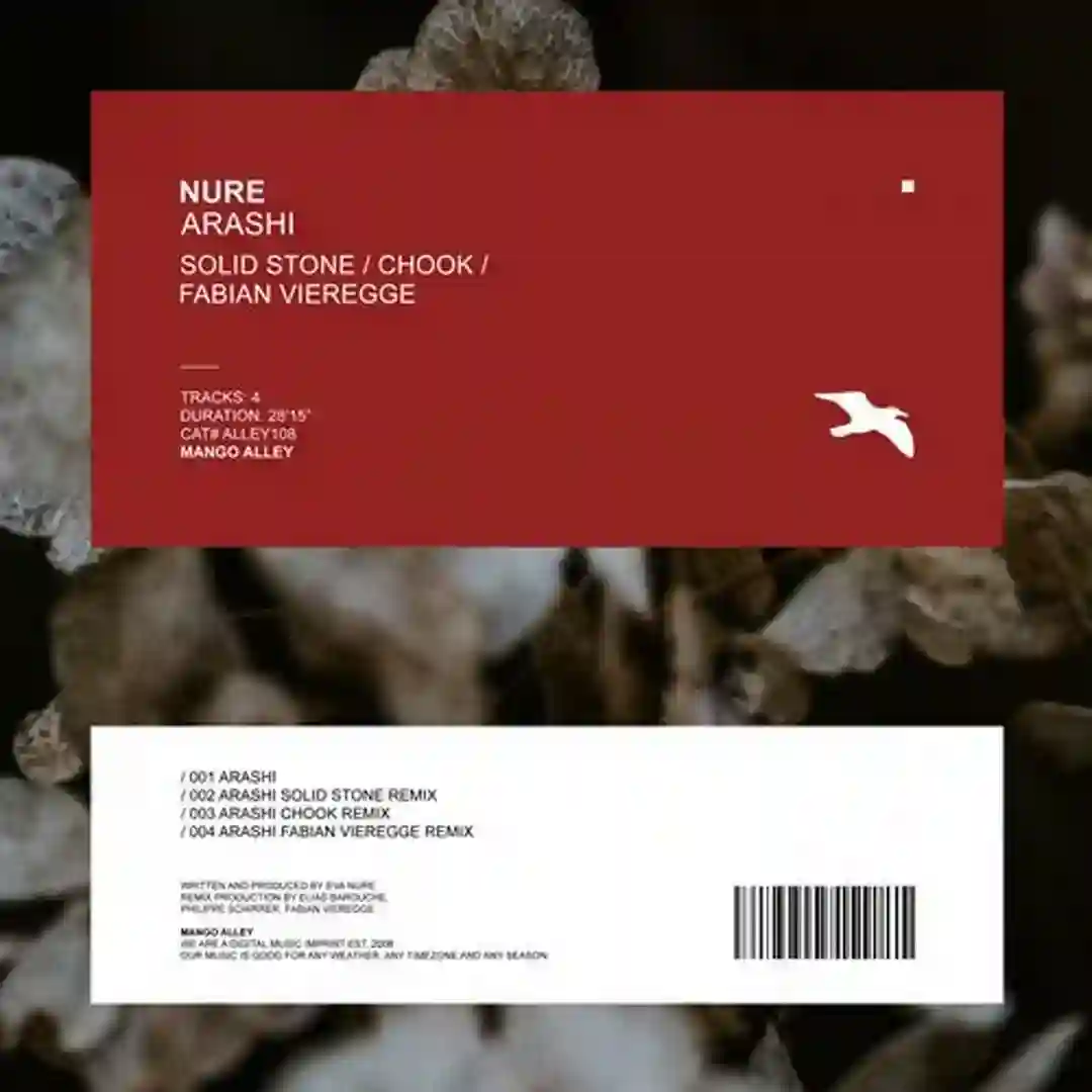 Arashi (Chook Remix) cover