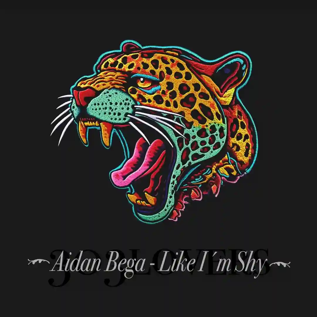 Like I'm Shy (Extended Mix) cover
