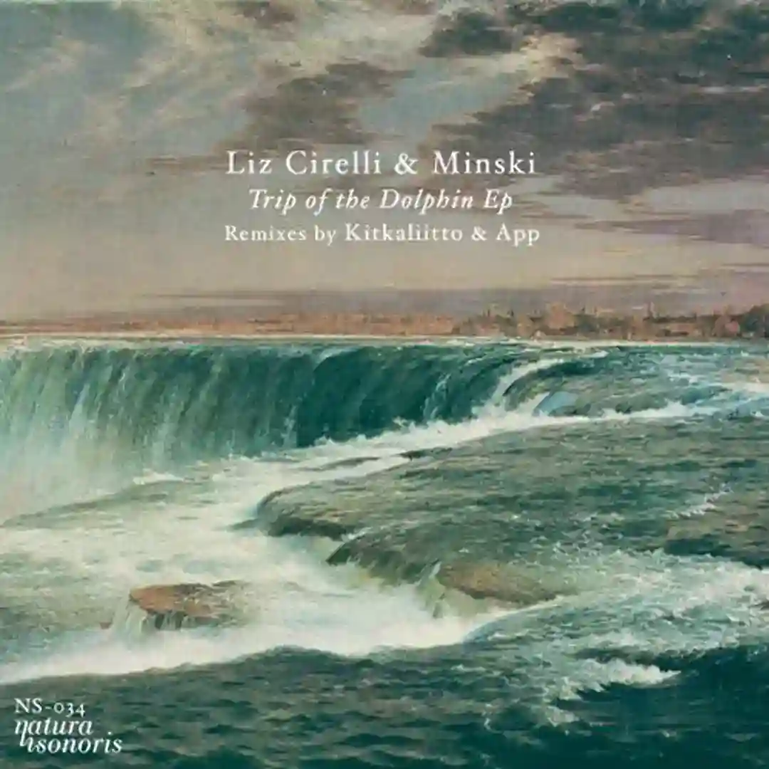 Trip Of The Dolphin (Kitkaliitto Remix) cover