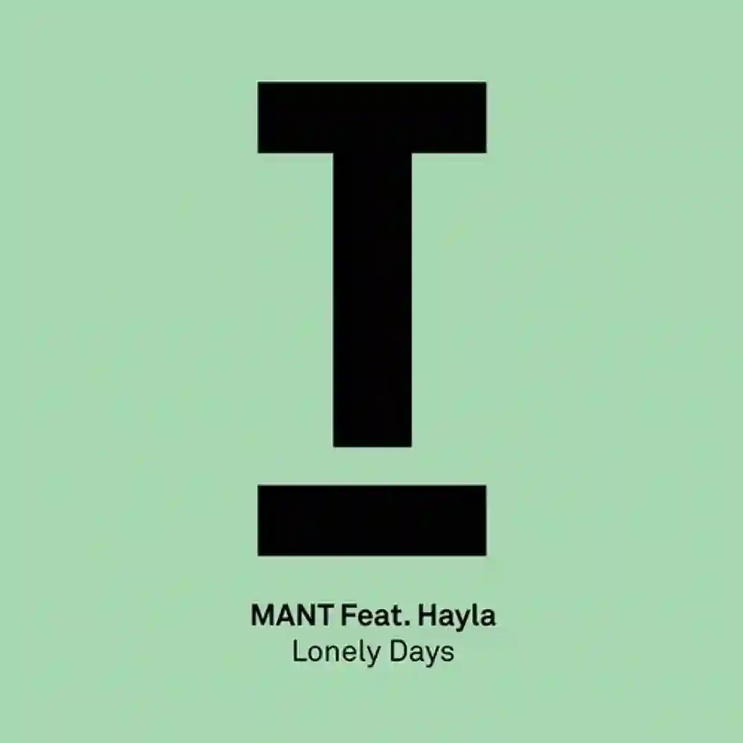 Lonely Days cover