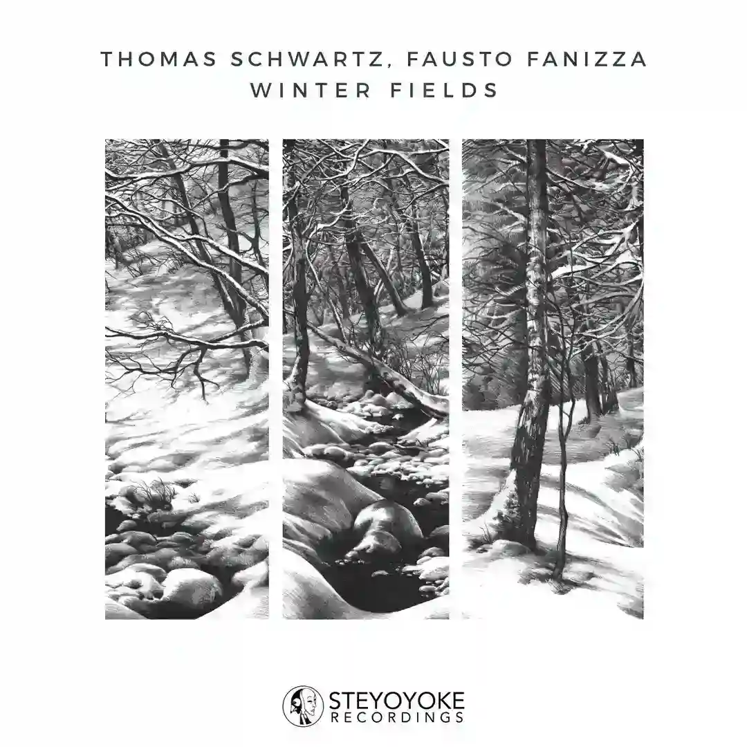 I Have Touched The Sky cover