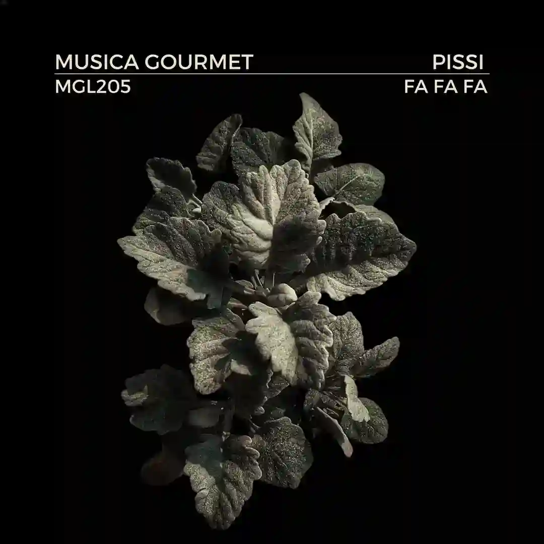 Fa Fa Fa cover