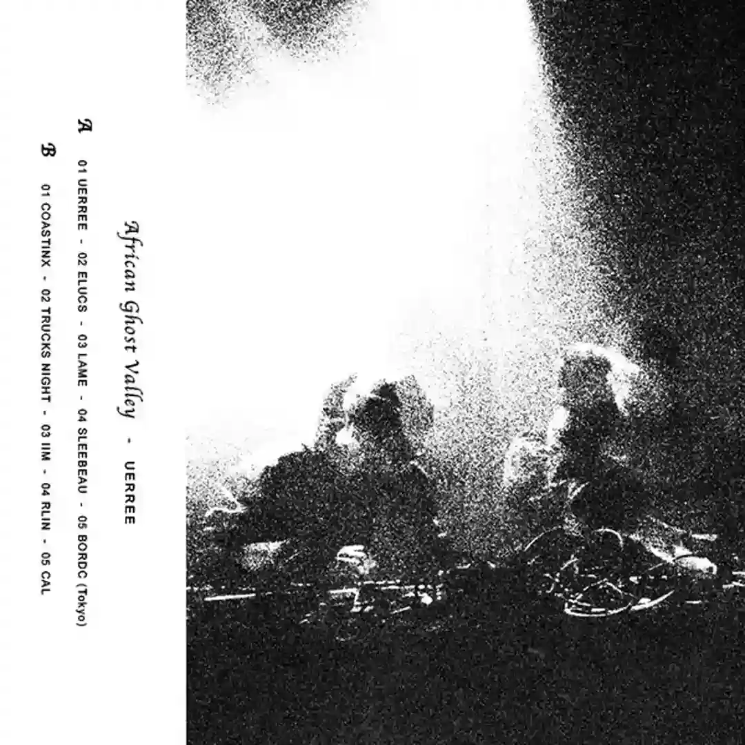 RLIN cover
