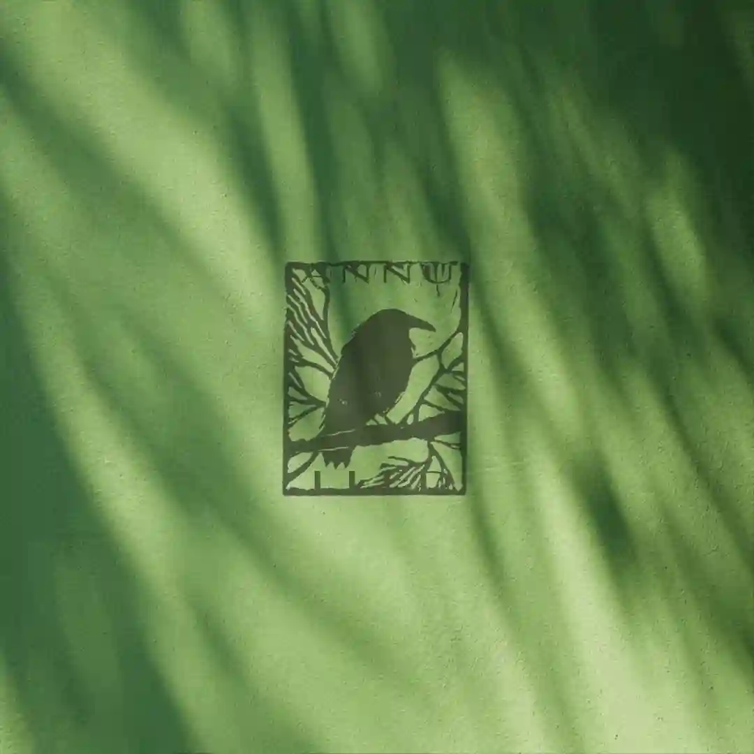 12 Years | Annulled Compilation cover
