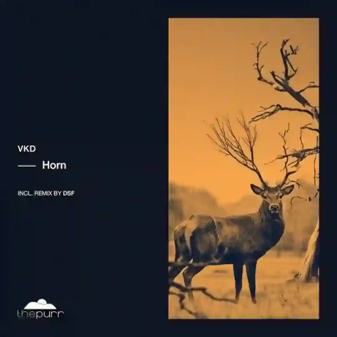 Horn cover