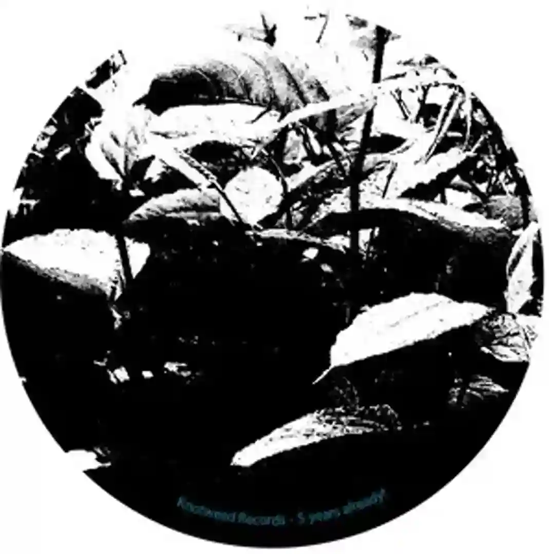 Opposite Attracts EP cover