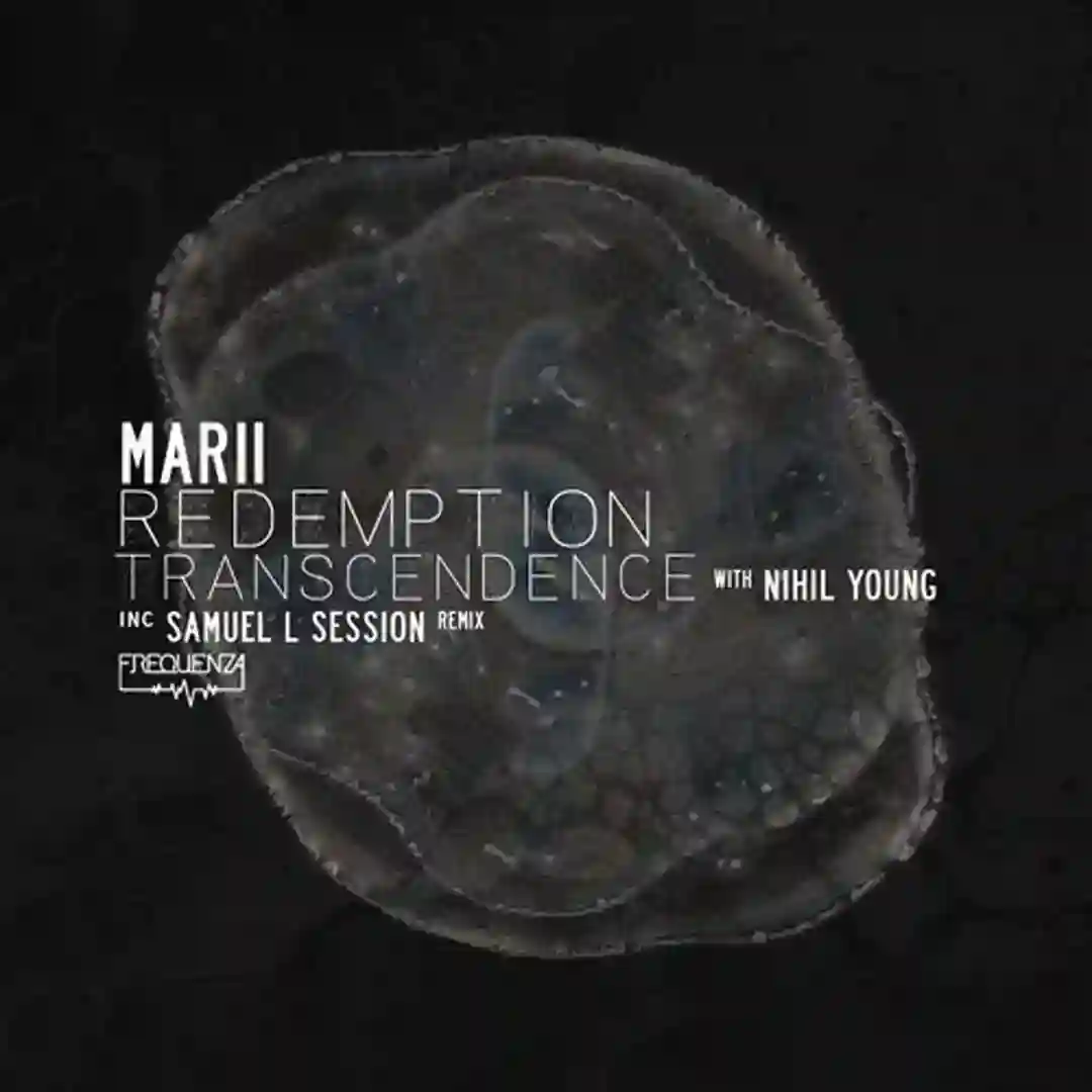 Transcendence (Samuel L Session Remix) cover